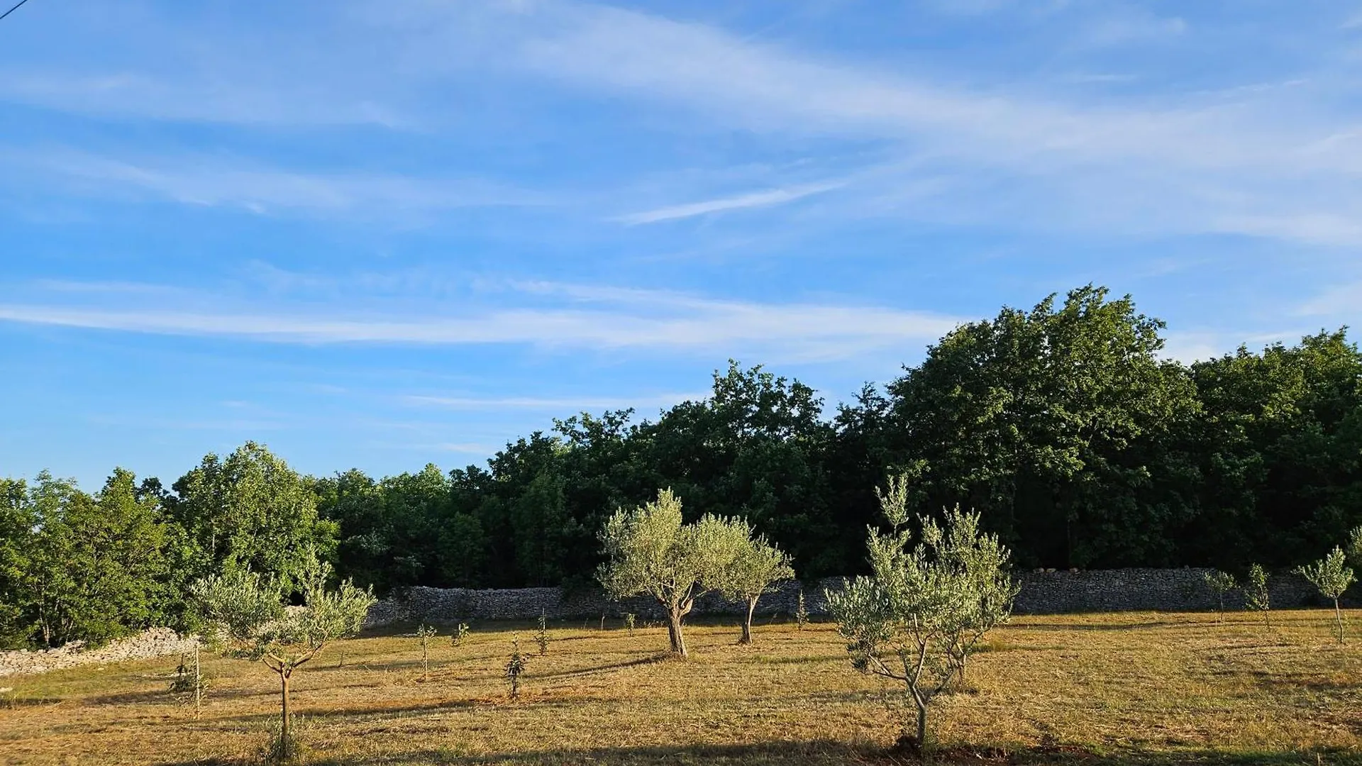 Villa Stancija Lottegaly - Green Holiday Vodnjan